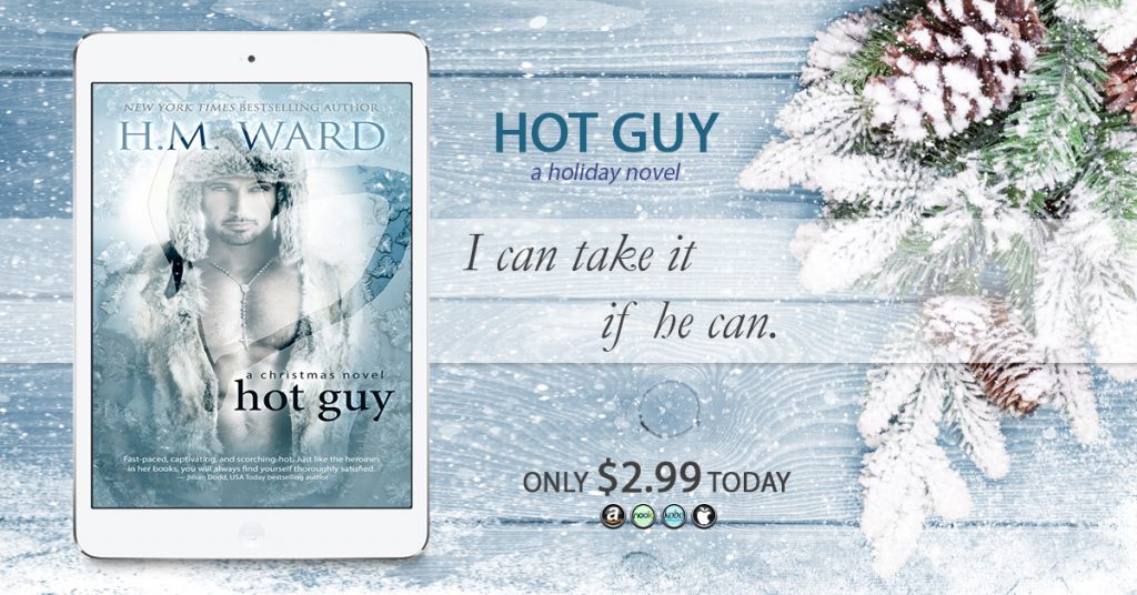 HOT GUY - a christmas novel Over 12 million copies sold. New York Times Bestseller.